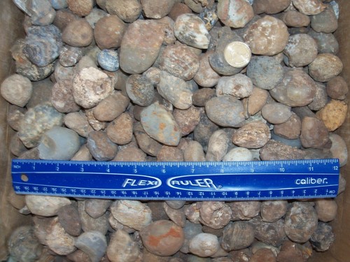 Pound lbs oco geodes per - of,