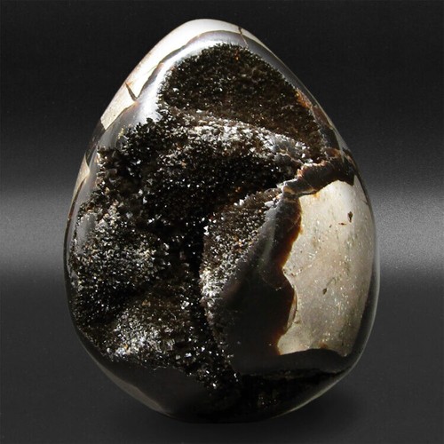 Black septarian dragon - septarian, “dragon