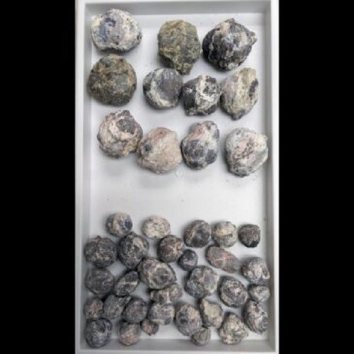 1lb bulk fluorescent - of,